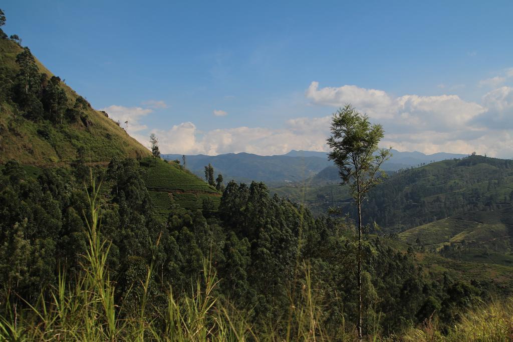 Ferienwohnung Cool Mount Guest Nuwara Eliya Exterior foto